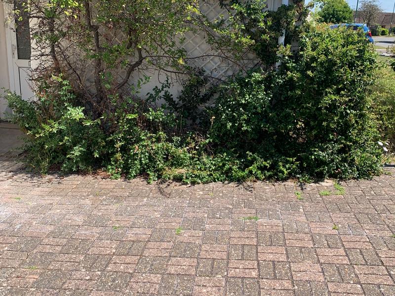 The same paved area after the timber and furniture pieces were removed