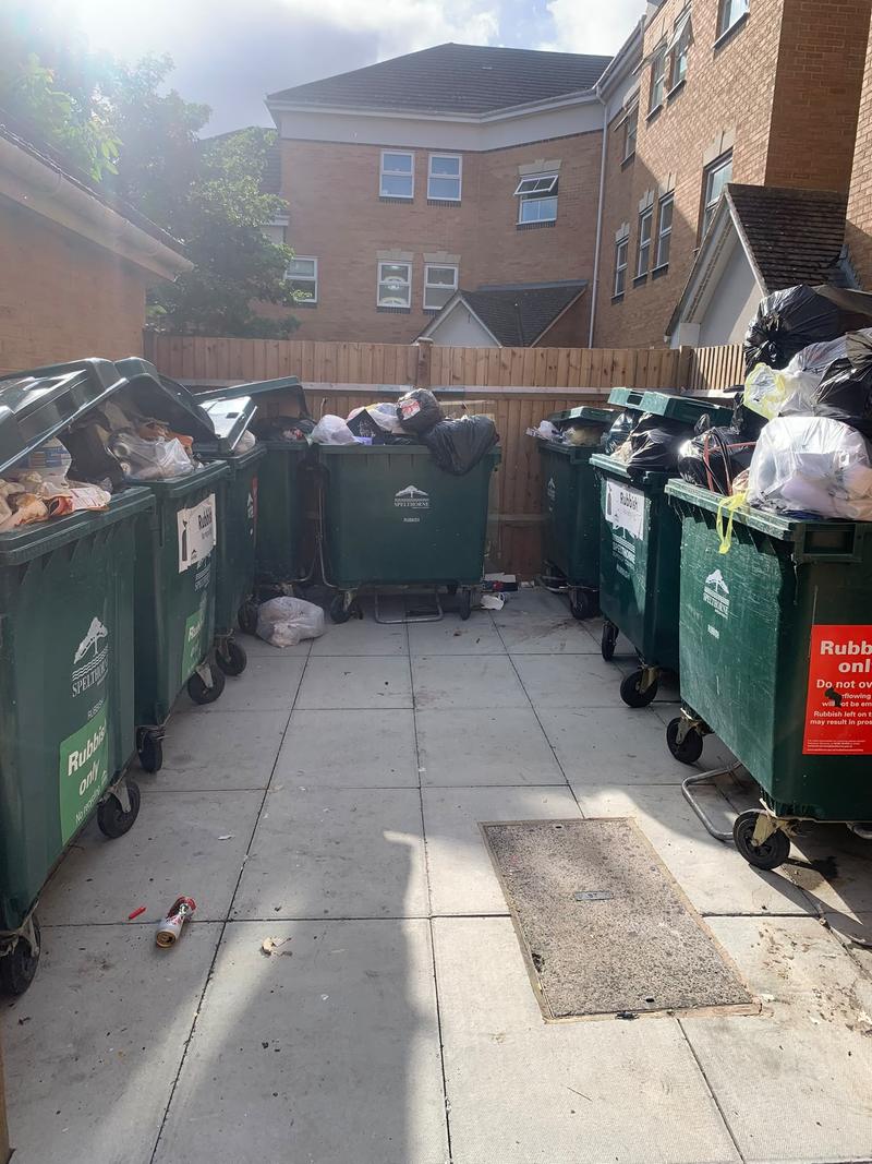 Overflowing communal bins and loose rubbish before clearance